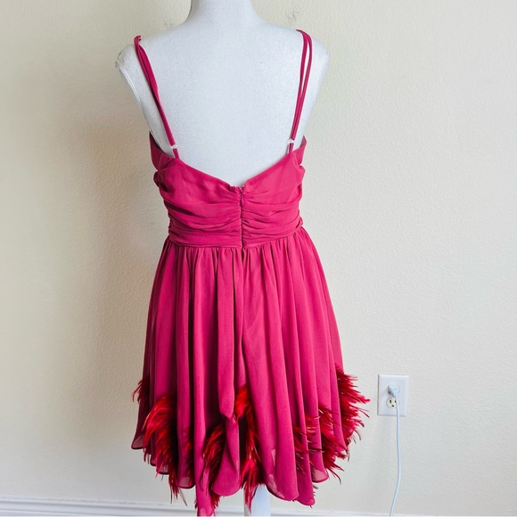 Twelve By Twelve Pink Mauve Ruched Feather Embellished Fit & Flare Chiffon Dress - Picture 3 of 10